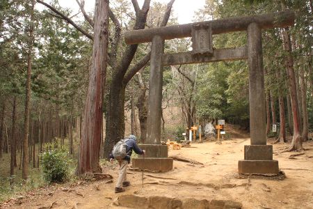 一の鳥居、すぐ先で男坂・女坂が別れる