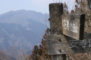 ヨコスズ尾根(と思うもの)を遠望