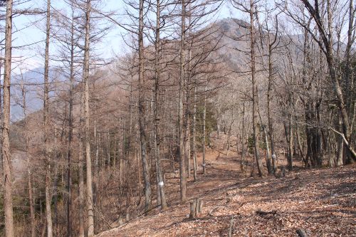 平石山、右奥に本仁田山