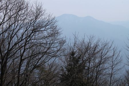 本仁田山頂から御前山