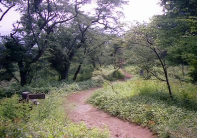 山頂部