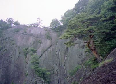「稚児落とし」の岩壁の、一部