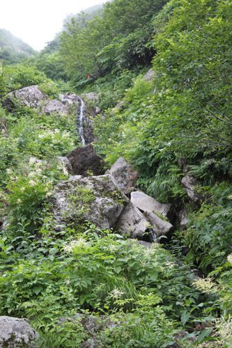大沢。上流に行くにしたがい水量が増える不思議な沢。