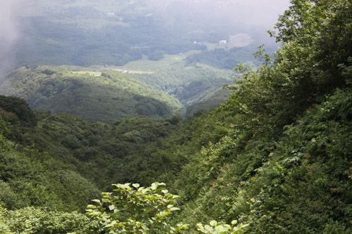 麓を振り返る