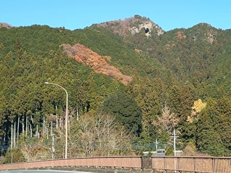 ���c���̏ォ�炩�܂Ǒq�����グ��