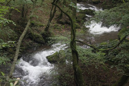 水勢侮りがたき観音沢。