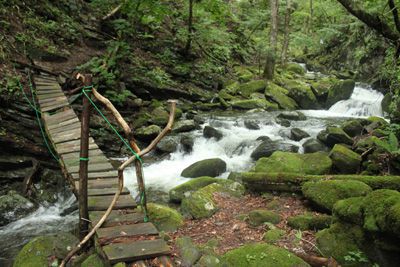歪んだ橋