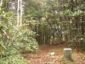 静かな唐松尾山頂