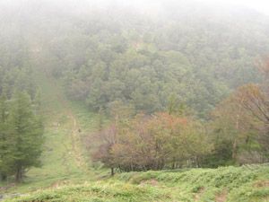 笠取山中腹からガス漂う麓を見下ろす