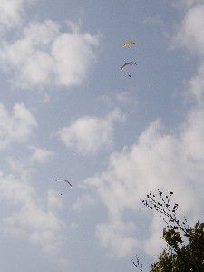 赤岩から御嶽の稜線上空を舞うパラグライダー