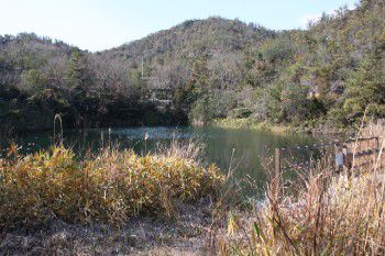 虎口池のほとりに出る。奥は野営場