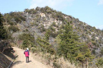 南方の散策路より天目山山頂部を見上げる