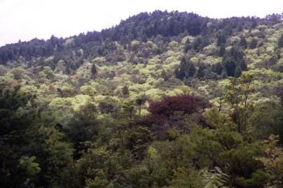熊山山頂部