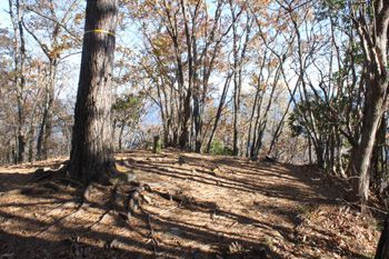 鞍吾山最高点(東峰)