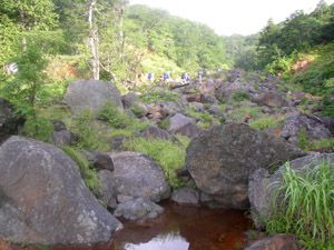 開けた御沢