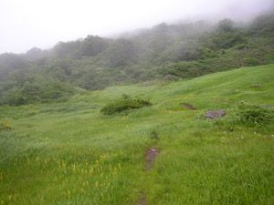 御室下、湯ノ倉分岐付近の草原