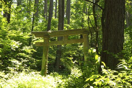 表参道の半ば、山中に突如現れる鳥居