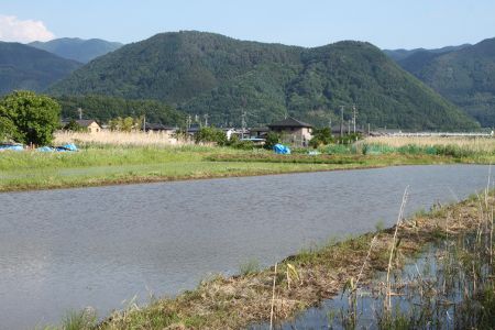 水を張った田圃越しに皆神山