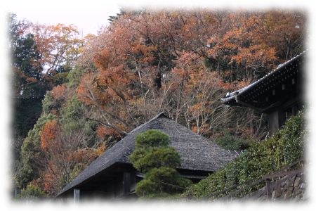 川崎市日本民家園にて