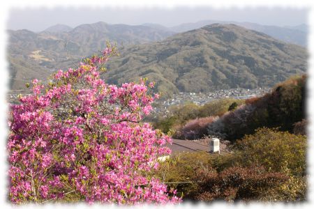 宝登山の山頂から秩父盆地越に箕山