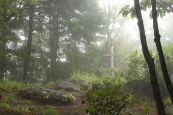 山頂