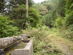林道終点の水場