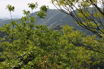 二子山