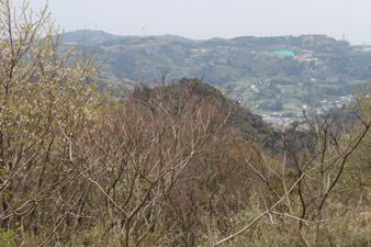 から大楠山(左奥)を望む