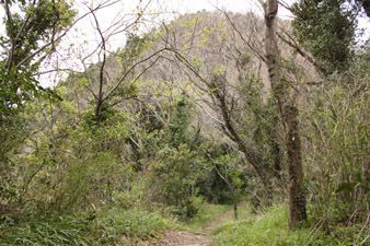上二子山頂から隣の下二子山を望む
