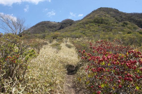 鍋割高原から仰ぐ鍋割山