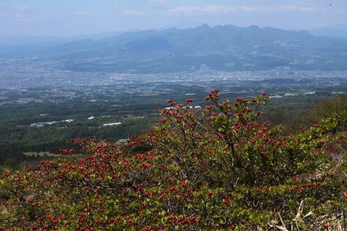 鍋割高原から広い裾野の榛名山