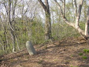 高倉山の標識付近に立つ石塔