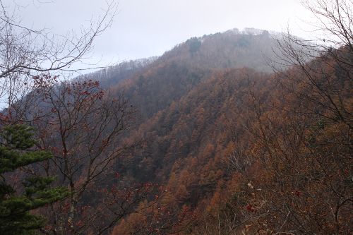 石尾根縦走路から七ツ石山
