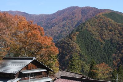 峰集落の上から榧ノ木山を望む