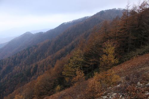 石尾根縦走路から七ツ石山