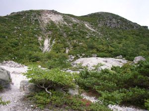 イワオヌプリ山頂方向を見上げる