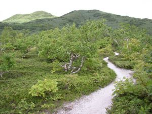 硫黄採掘所近くの心地よい道