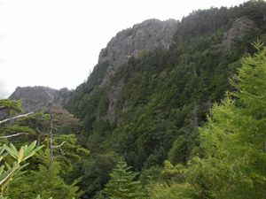 西峰(前御座山)より山頂部を見上げる