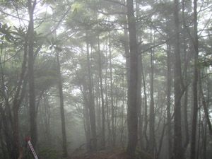 ガスに覆われる稜線