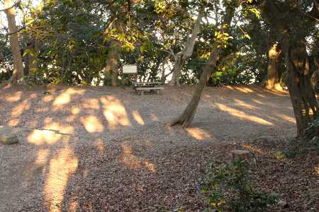 広々とした高麗山(大堂)山頂
