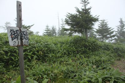 ガスの中の御飯岳山頂