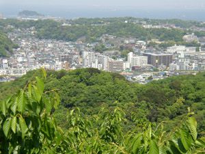 衣笠公園展望台より東京湾を望む。左奥は猿島。
