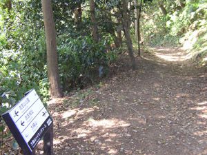 ふたたび山道へ