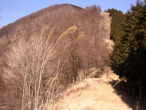 シラジクボより武甲山を振り返る