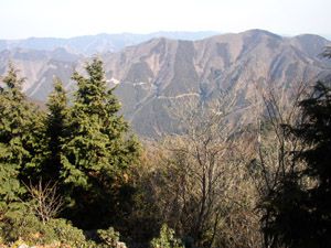 小持山への登りより武川岳を望む