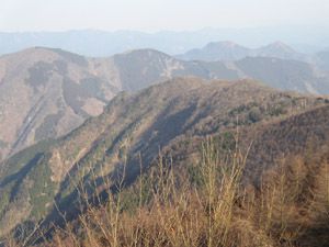 小持山から大持山への稜線より武川岳(左)、伊豆ヶ岳・古御岳(右奥)
