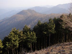 妻坂峠分岐より鳥首峠・蕨山方面を望む