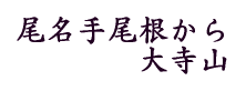 尾名手尾根から大寺山