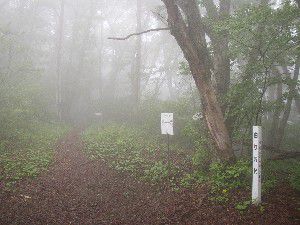 曲り沢峠