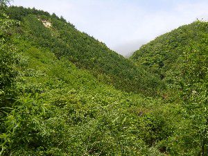ガスのわだかまる米背負峠